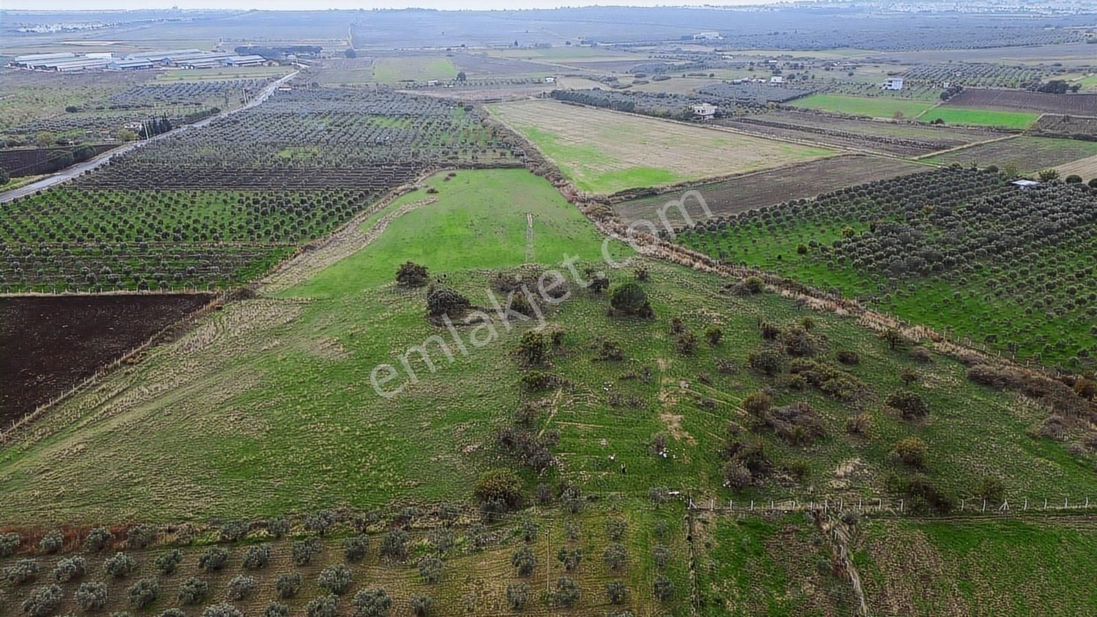 Dikili Gökçeağıl Mah. Deniz Manzaralı 34.832 M2 Satılık Tarla - Görsel 8