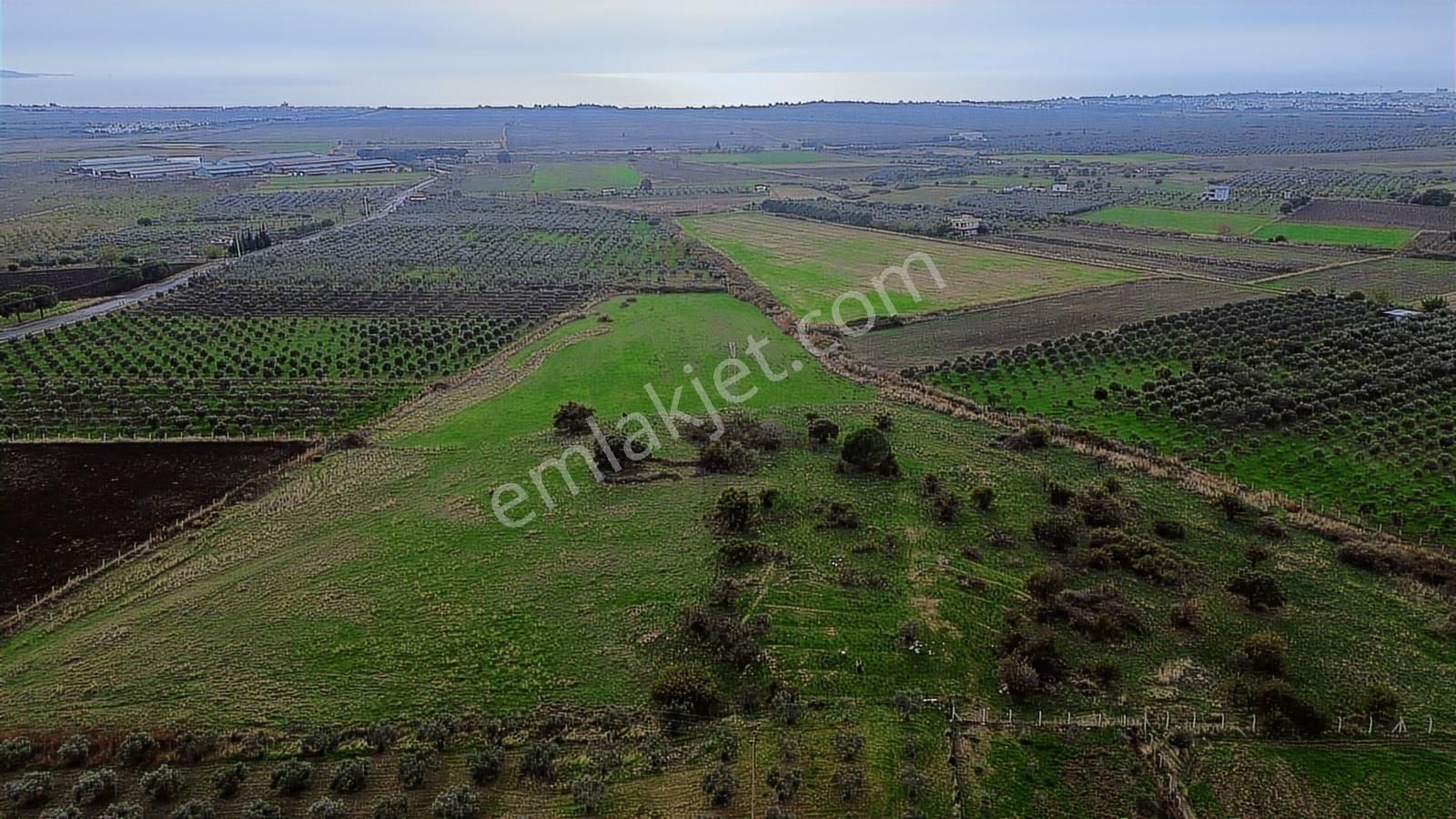 Dikili Gökçeağıl Mah. Deniz Manzaralı 34.832 M2 Satılık Tarla - Görsel 18