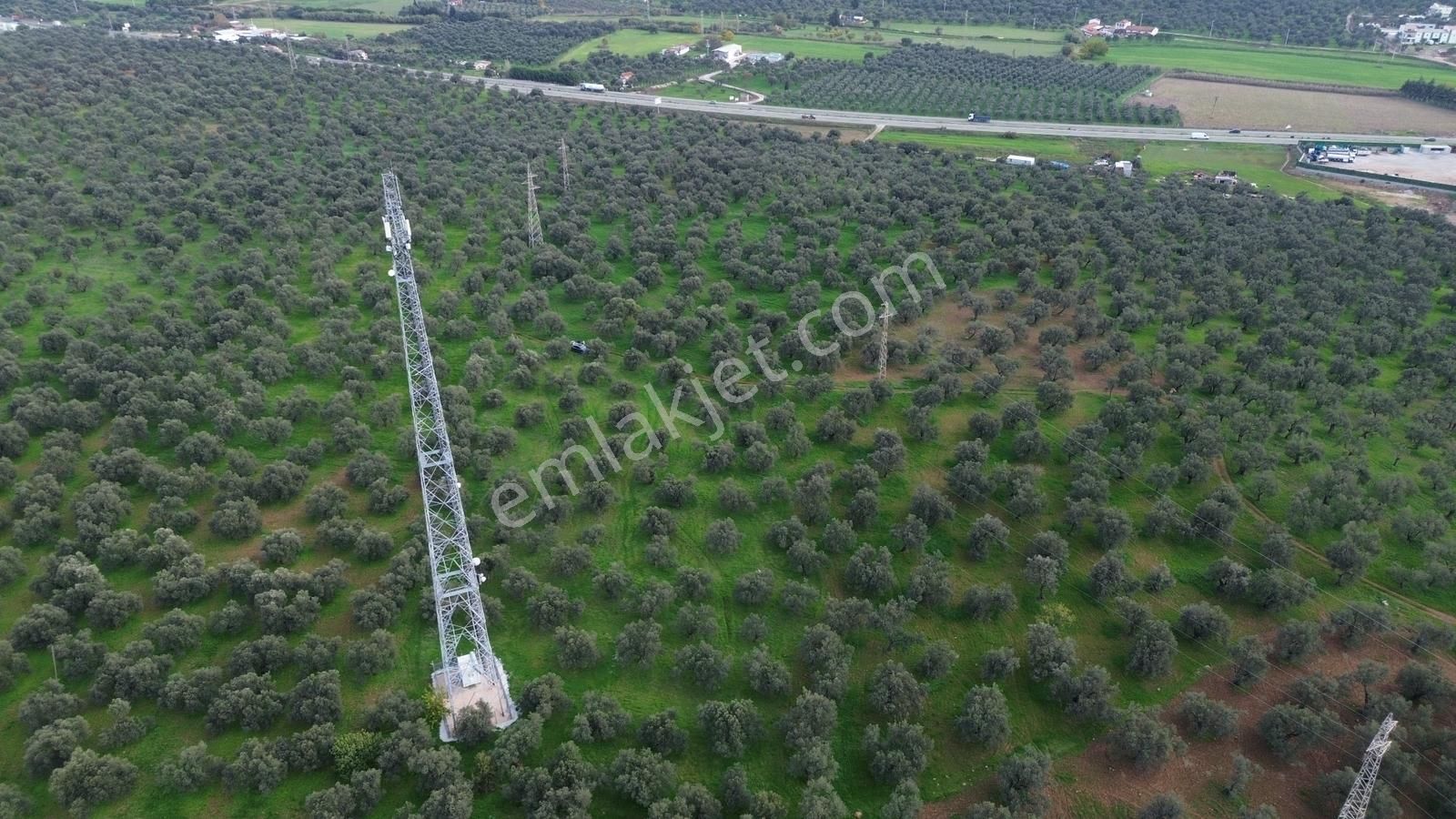 Ayvalık Şehir Merkezine Yakın İmar'a 400 Mt Satılık Zeytinlik - Görsel 16