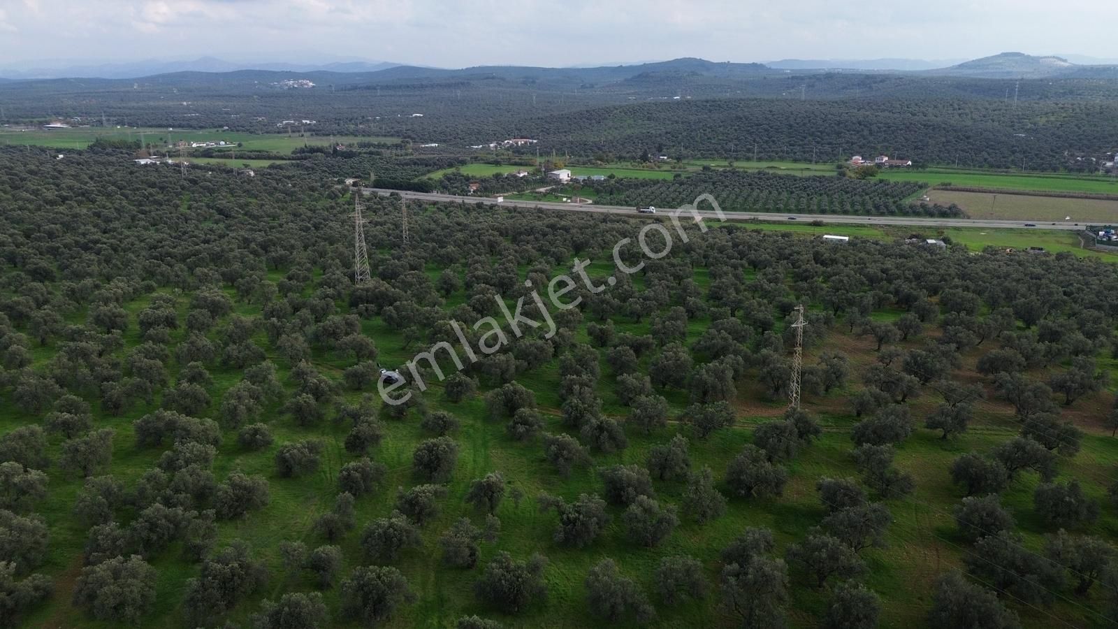 Ayvalık Şehir Merkezine Yakın İmar'a 400 Mt Satılık Zeytinlik - Görsel 30