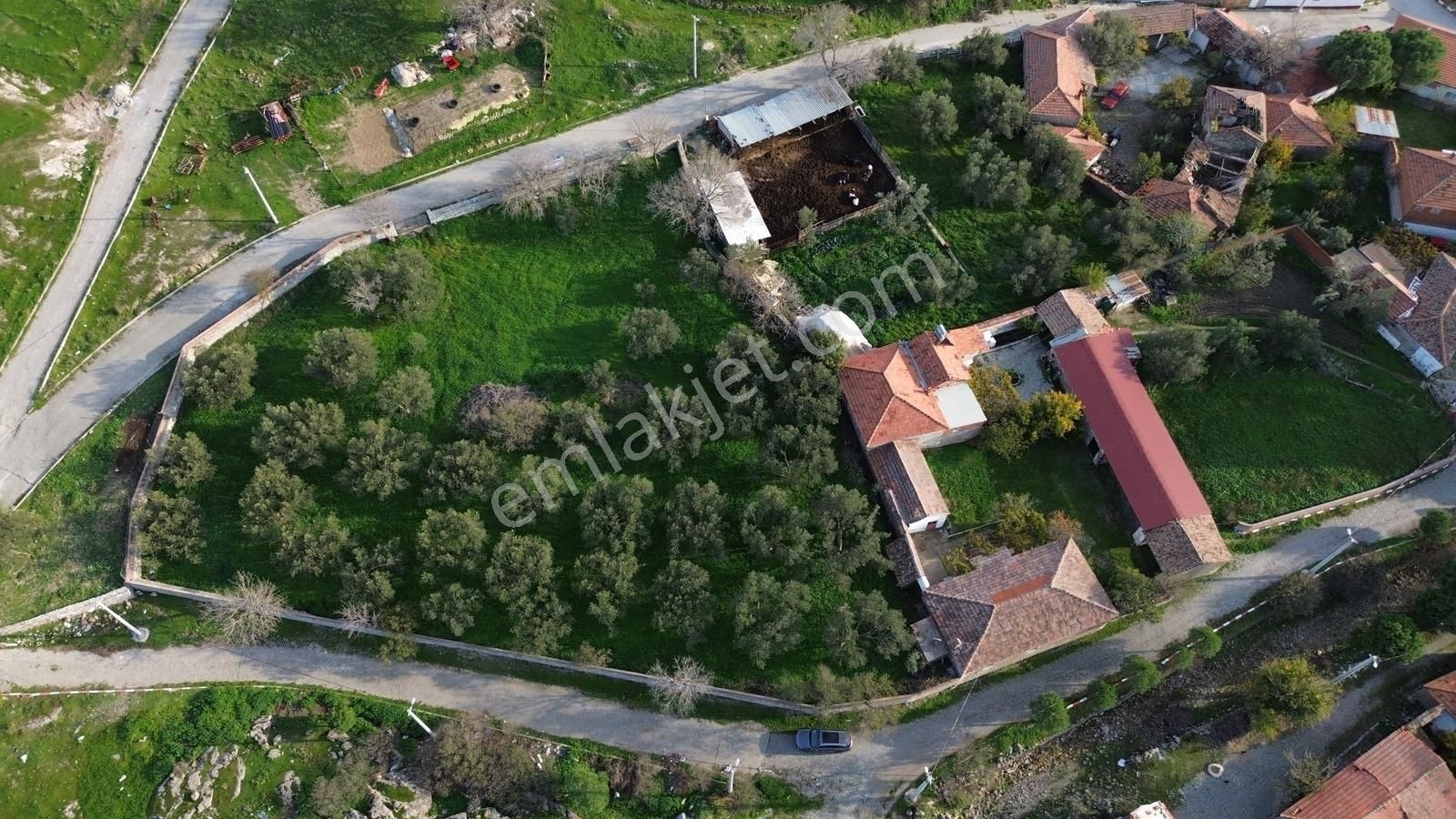 İzmir Bergama Doğancı Mahallesinde Satılık Köy Evi Ve Zeytinlik - Görsel 2