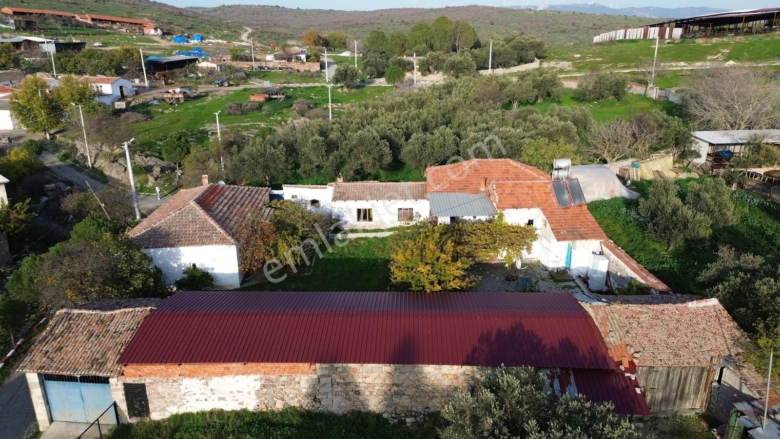 İzmir Bergama Doğancı Mahallesinde Satılık Köy Evi Ve Zeytinlik - Görsel 27