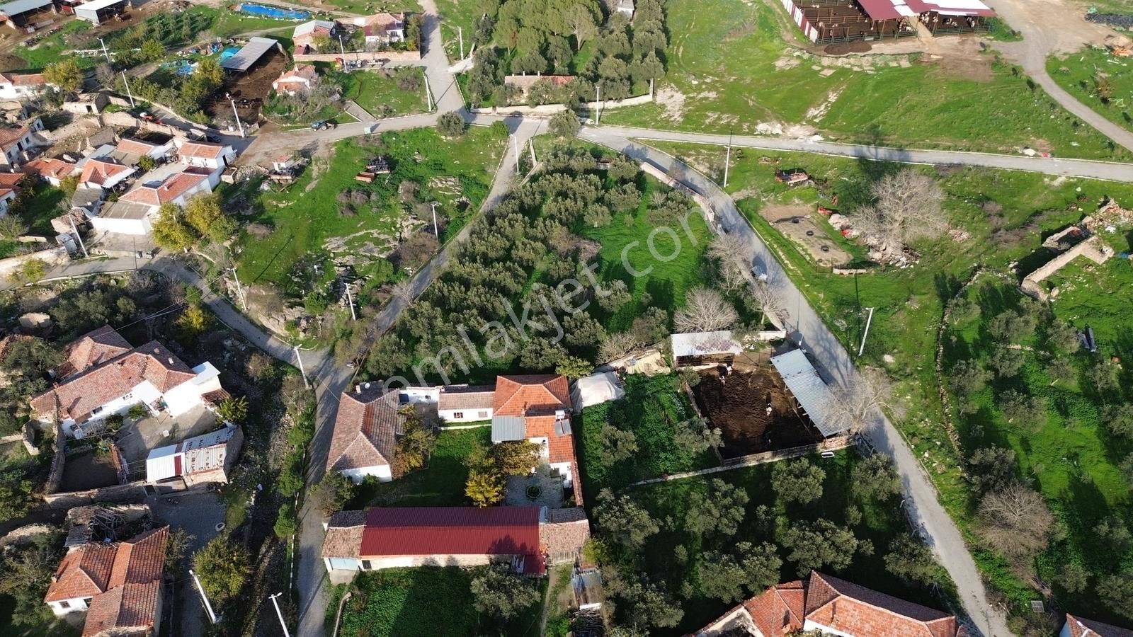 İzmir Bergama Doğancı Mahallesinde Satılık Köy Evi Ve Zeytinlik - Görsel 16