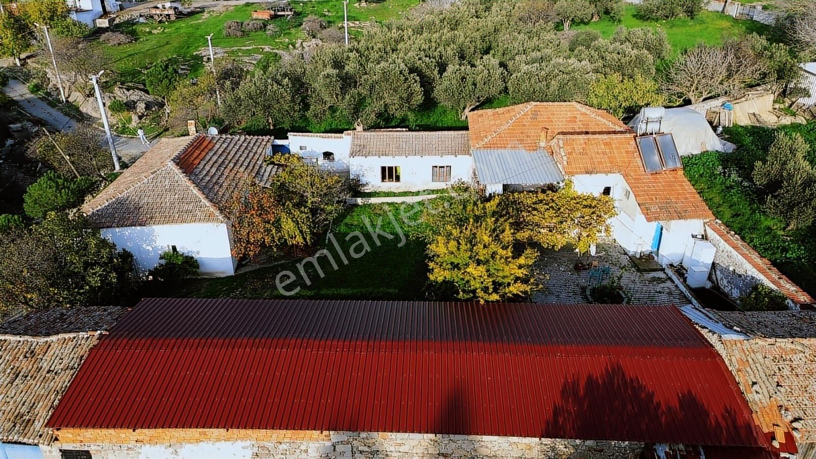 İzmir Bergama Doğancı Mahallesinde Satılık Köy Evi Ve Zeytinlik - Görsel 20