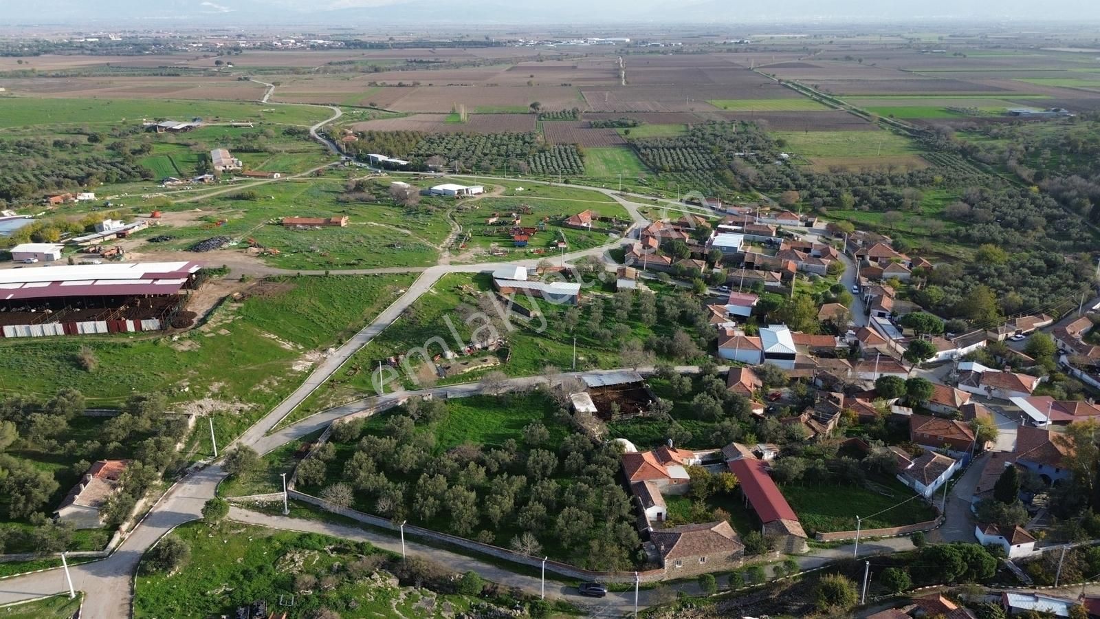 İzmir Bergama Doğancı Mahallesinde Satılık Köy Evi Ve Zeytinlik - Görsel 4