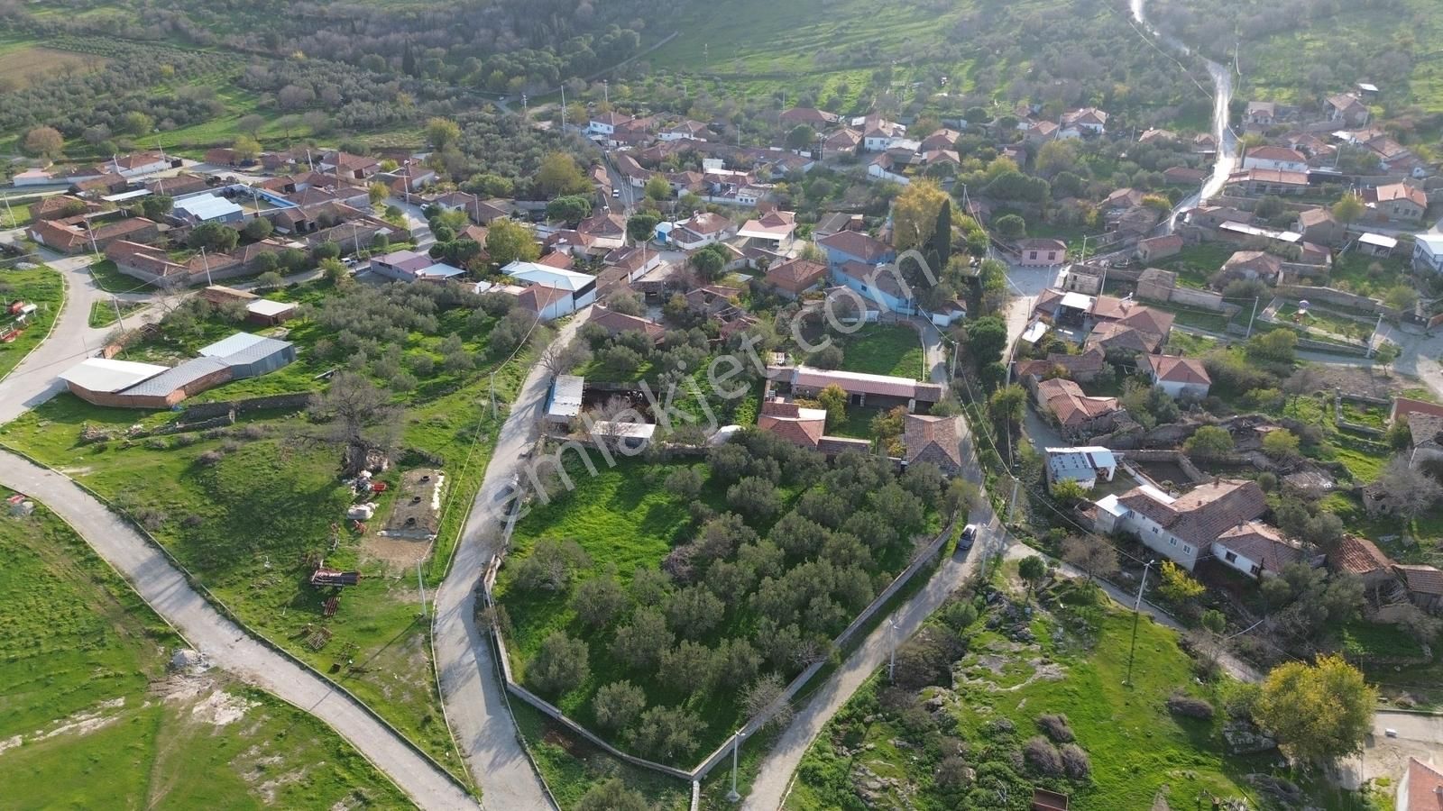 İzmir Bergama Doğancı Mahallesinde Satılık Köy Evi Ve Zeytinlik - Görsel 23