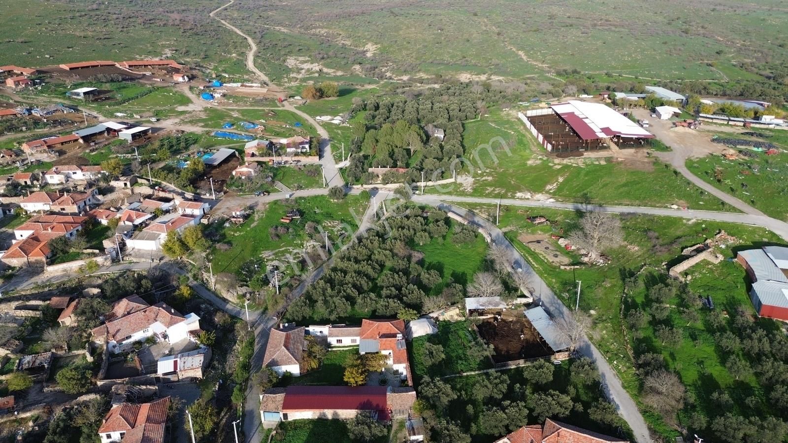 İzmir Bergama Doğancı Mahallesinde Satılık Köy Evi Ve Zeytinlik - Görsel 17