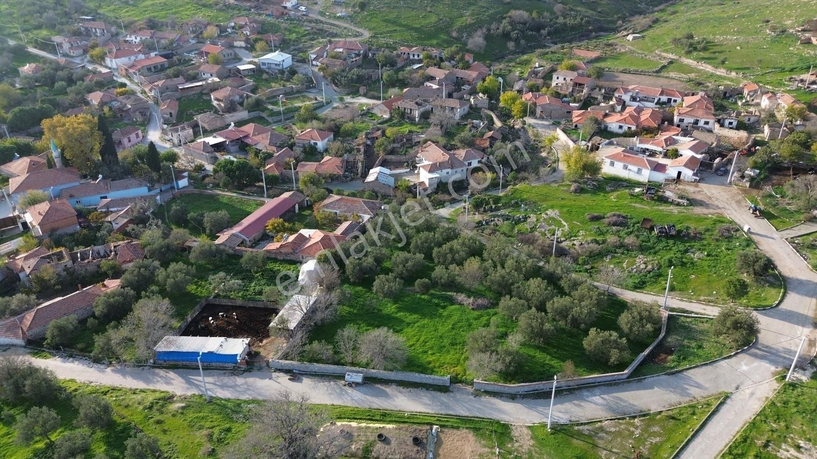 İzmir Bergama Doğancı Mahallesinde Satılık Köy Evi Ve Zeytinlik - Görsel 14
