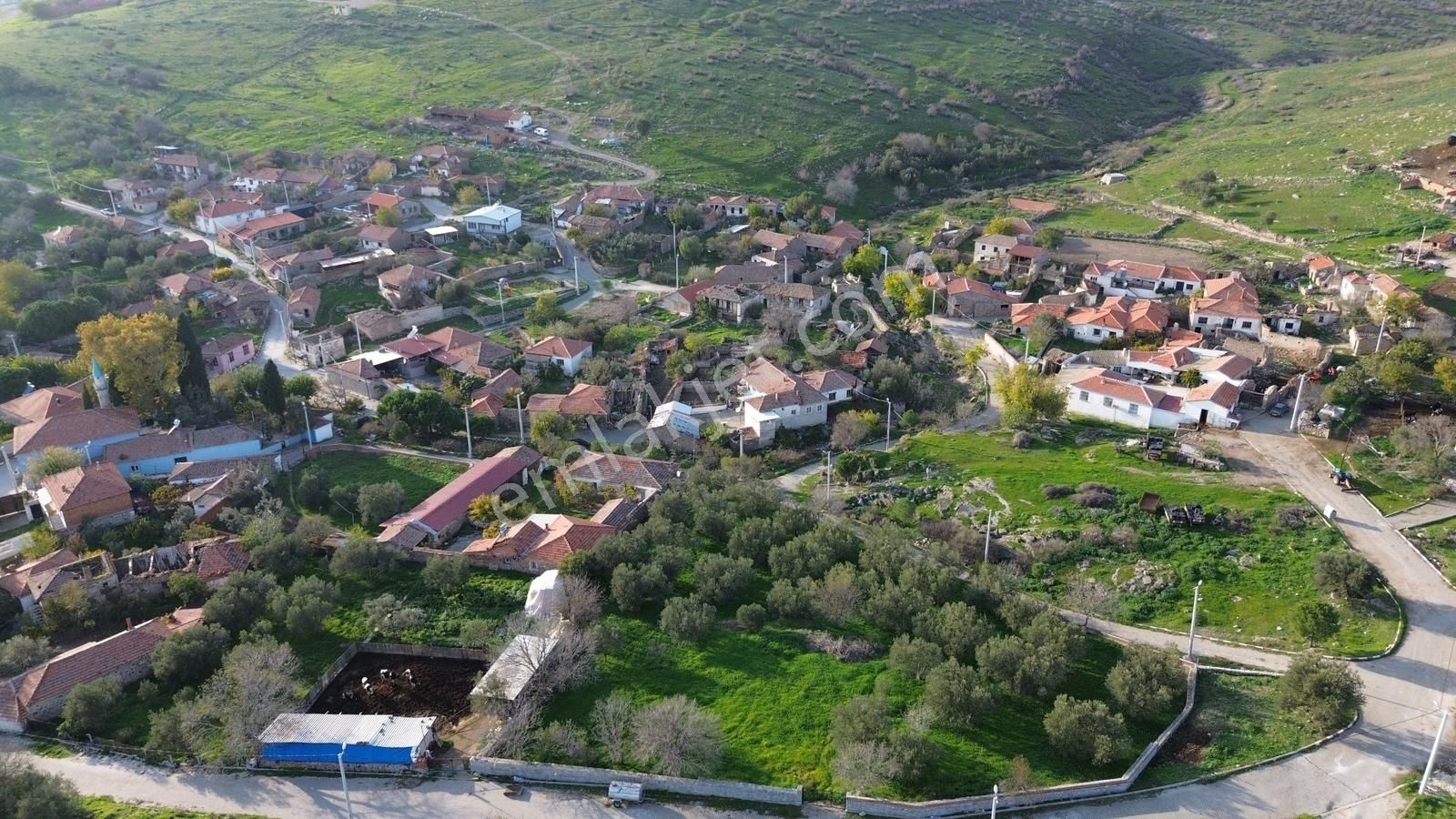 İzmir Bergama Doğancı Mahallesinde Satılık Köy Evi Ve Zeytinlik - Görsel 15