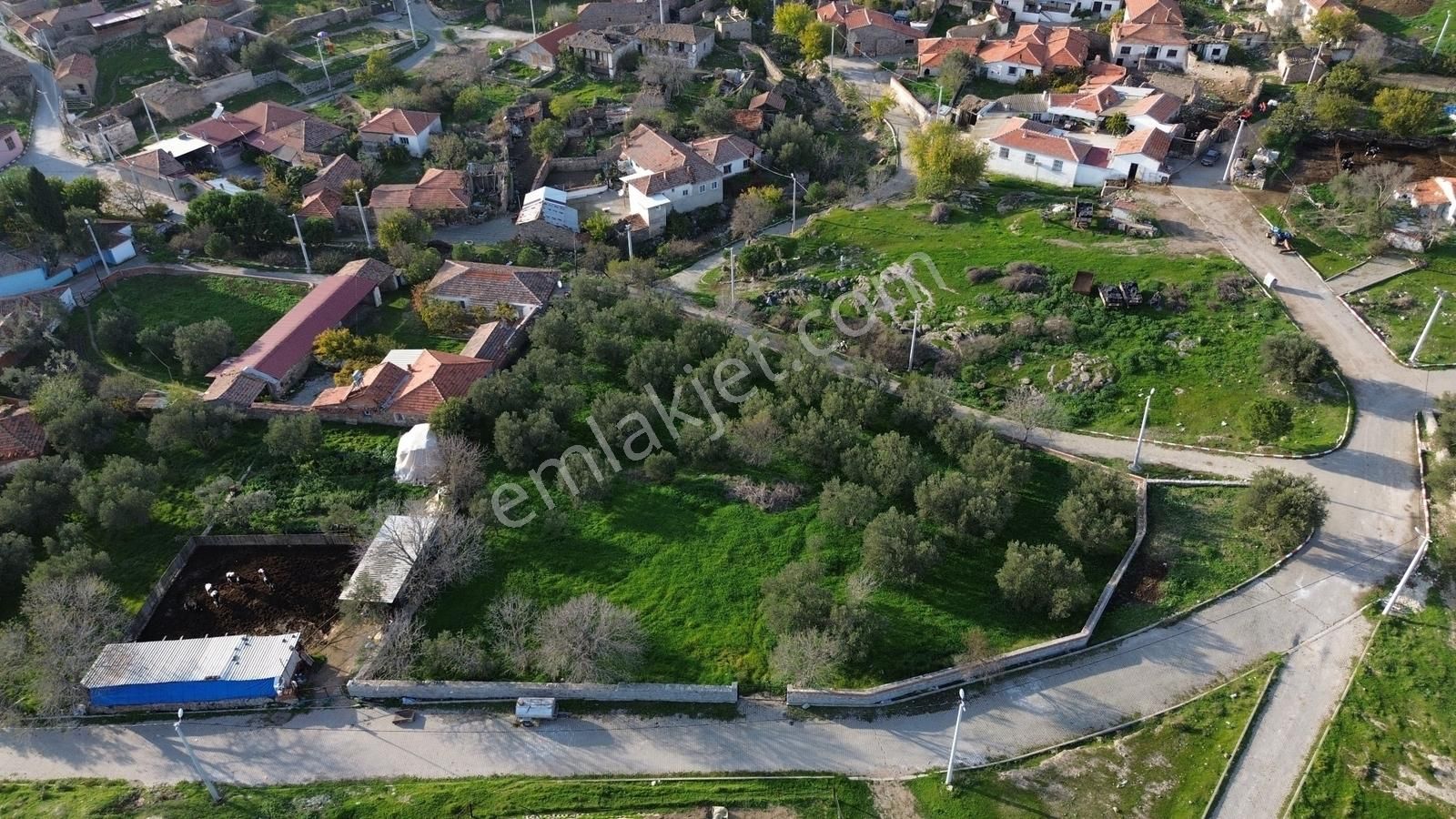 İzmir Bergama Doğancı Mahallesinde Satılık Köy Evi Ve Zeytinlik - Görsel 13