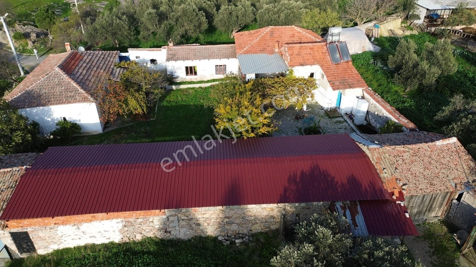 İzmir Bergama Doğancı Mahallesinde Satılık Köy Evi Ve Zeytinlik - Görsel 25