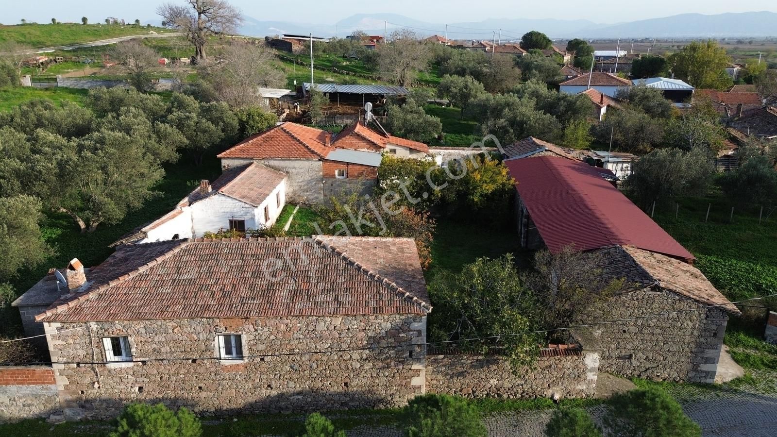 İzmir Bergama Doğancı Mahallesinde Satılık Köy Evi Ve Zeytinlik - Görsel 29