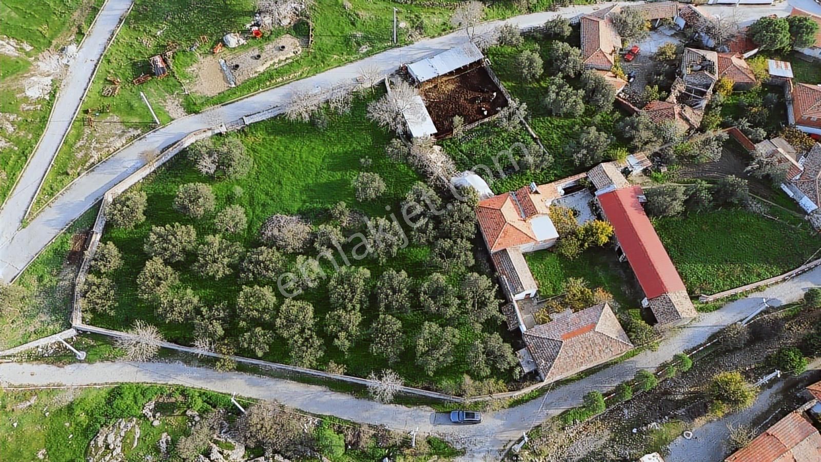 İzmir Bergama Doğancı Mahallesinde Satılık Köy Evi Ve Zeytinlik - Görsel 3