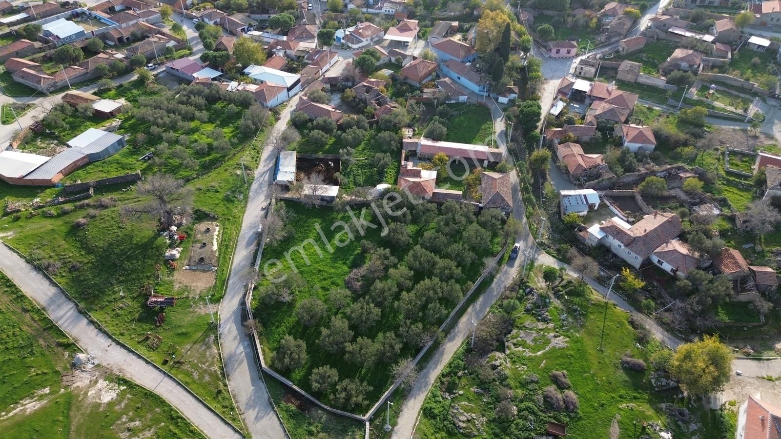 İzmir Bergama Doğancı Mahallesinde Satılık Köy Evi Ve Zeytinlik - Görsel 5