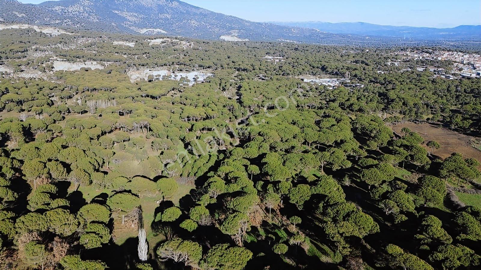 Doğa + Yatırım Bir Arada! Kozakta Müstakil Tapulu Fıstıklık - Görsel 16