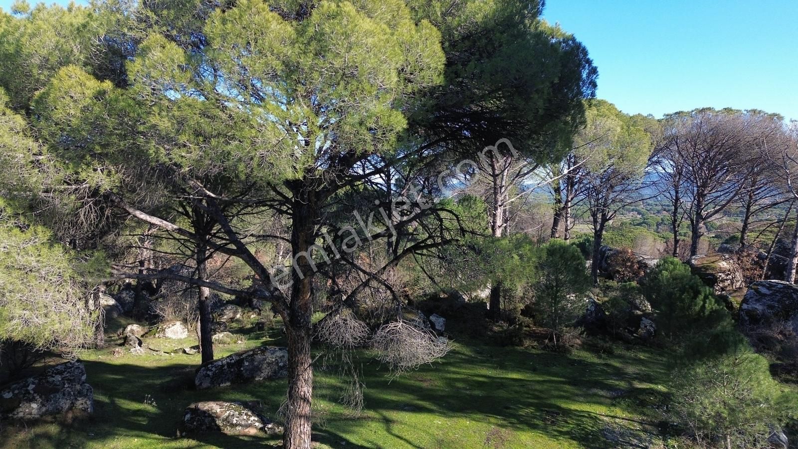 Bergama Kozak Aşağıcuma'da Asfalt Cepheli 1.795m2 Satılık Tarla - Görsel 8