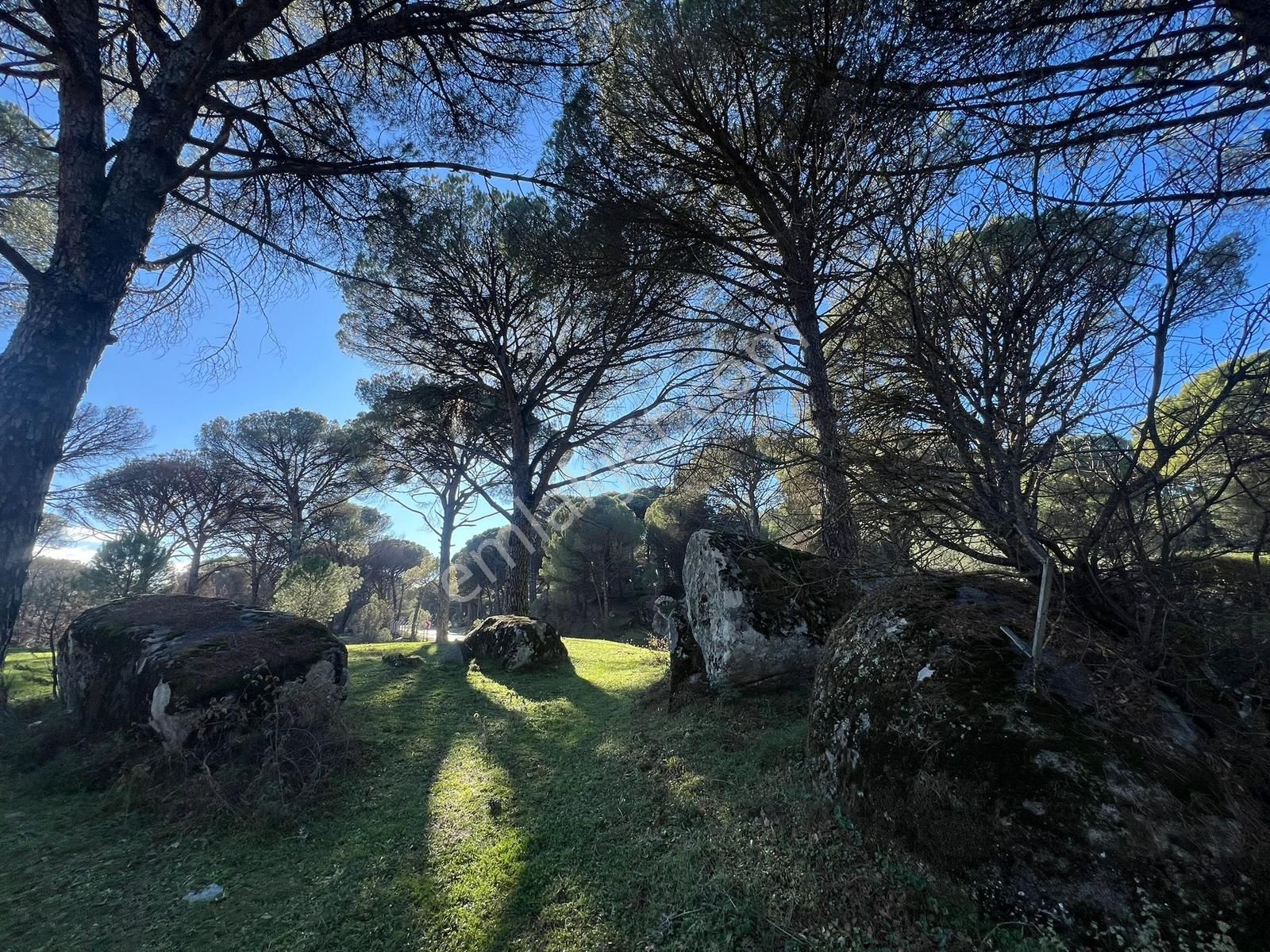 Bergama Kozak Aşağıcuma'da Asfalt Cepheli 1.795m2 Satılık Tarla - Görsel 11