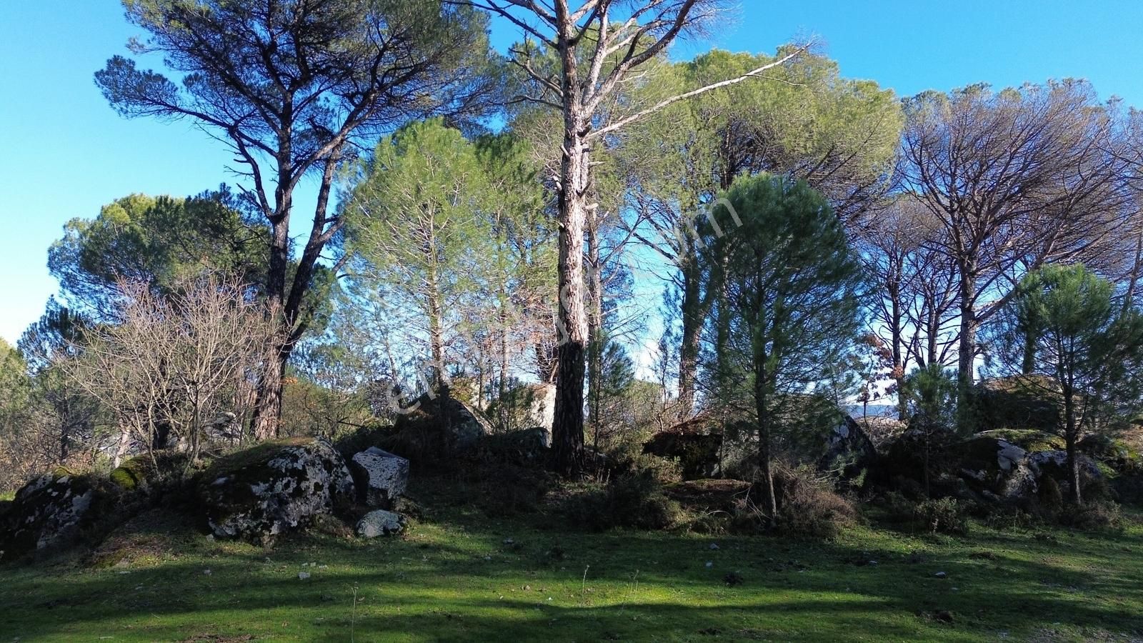 Bergama Kozak Aşağıcuma'da Asfalt Cepheli 1.795m2 Satılık Tarla - Görsel 27