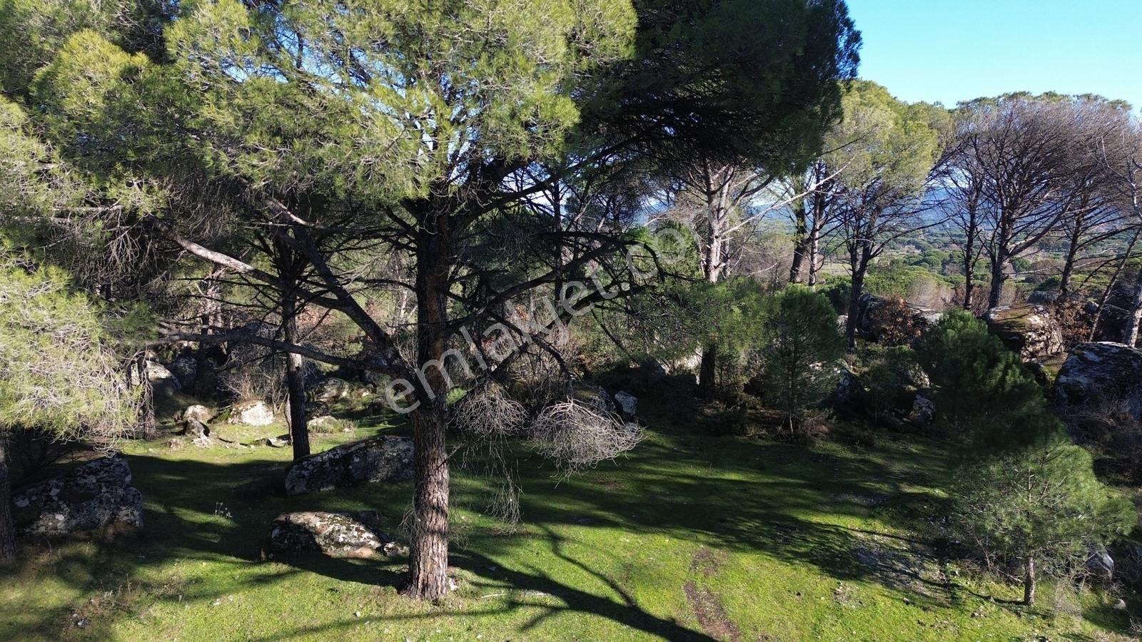 Bergama Kozak Aşağıcuma'da Asfalt Cepheli 1.795m2 Satılık Tarla - Görsel 6