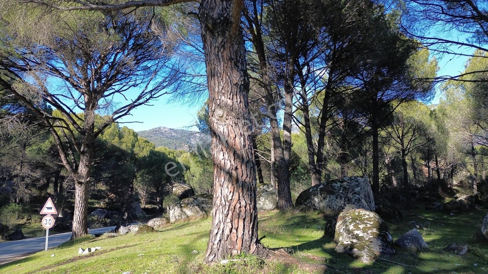 Bergama Kozak Aşağıcuma'da Asfalt Cepheli 1.795m2 Satılık Tarla - Görsel 25