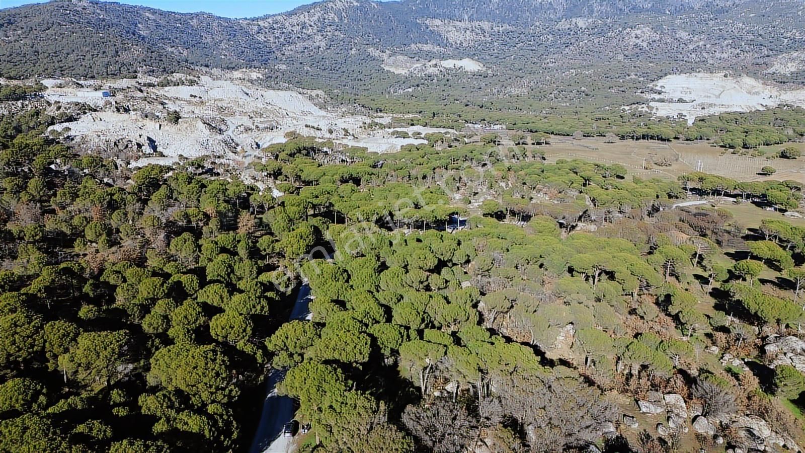 Bergama Kozak Aşağıcuma'da Asfalt Cepheli 1.795m2 Satılık Tarla - Görsel 3