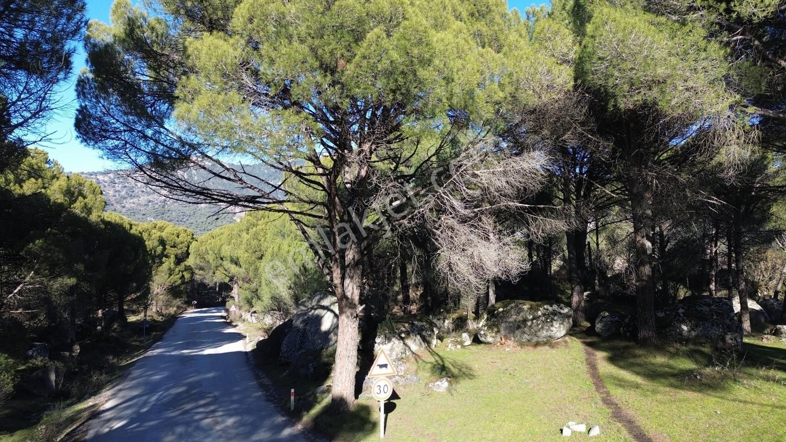 Bergama Kozak Aşağıcuma'da Asfalt Cepheli 1.795m2 Satılık Tarla - Görsel 23