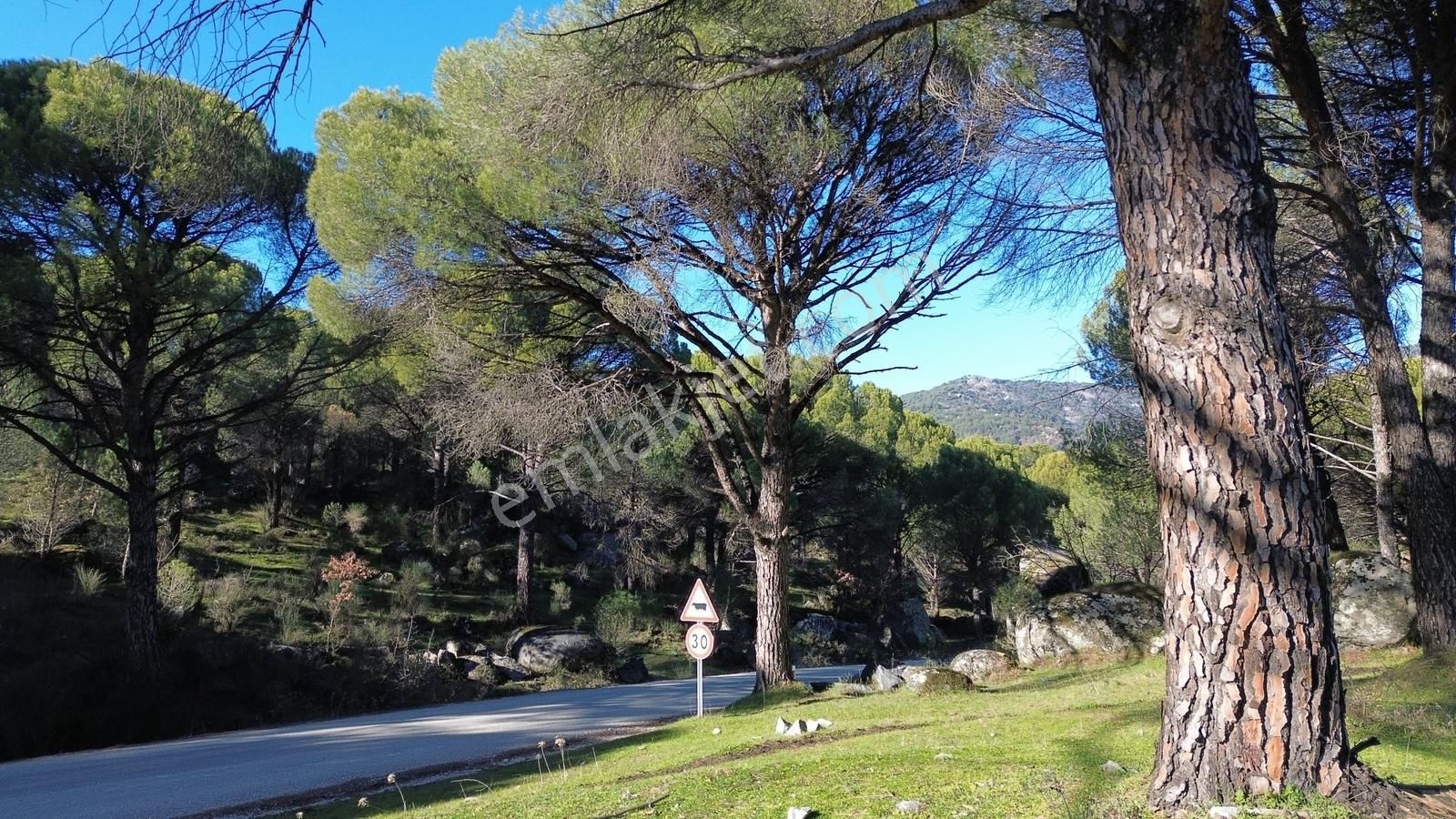 Bergama Kozak Aşağıcuma'da Asfalt Cepheli 1.795m2 Satılık Tarla - Görsel 28