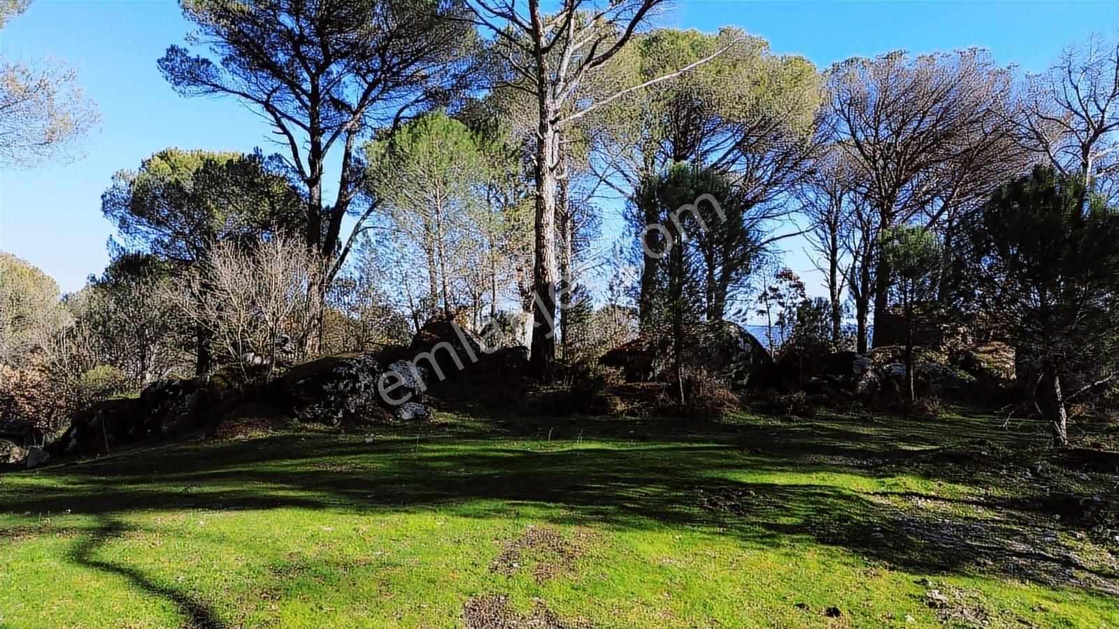 Bergama Kozak Aşağıcuma'da Asfalt Cepheli 1.795m2 Satılık Tarla