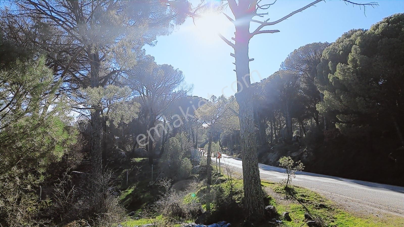 Bergama Kozak Aşağıcuma'da Asfalt Cepheli 1.795m2 Satılık Tarla - Görsel 34