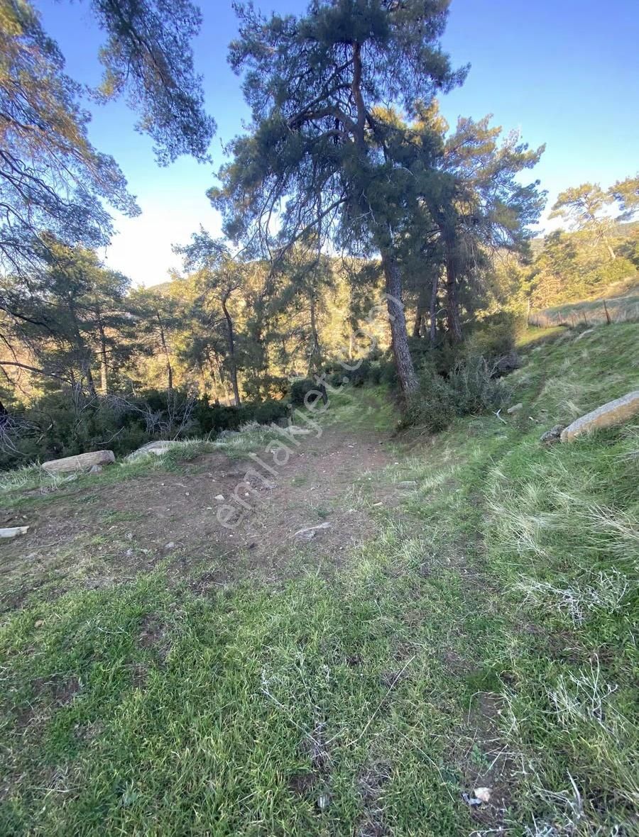 Akay Gayrimenkulden Orman İçerisinde Müstakil Ev - Görsel 4