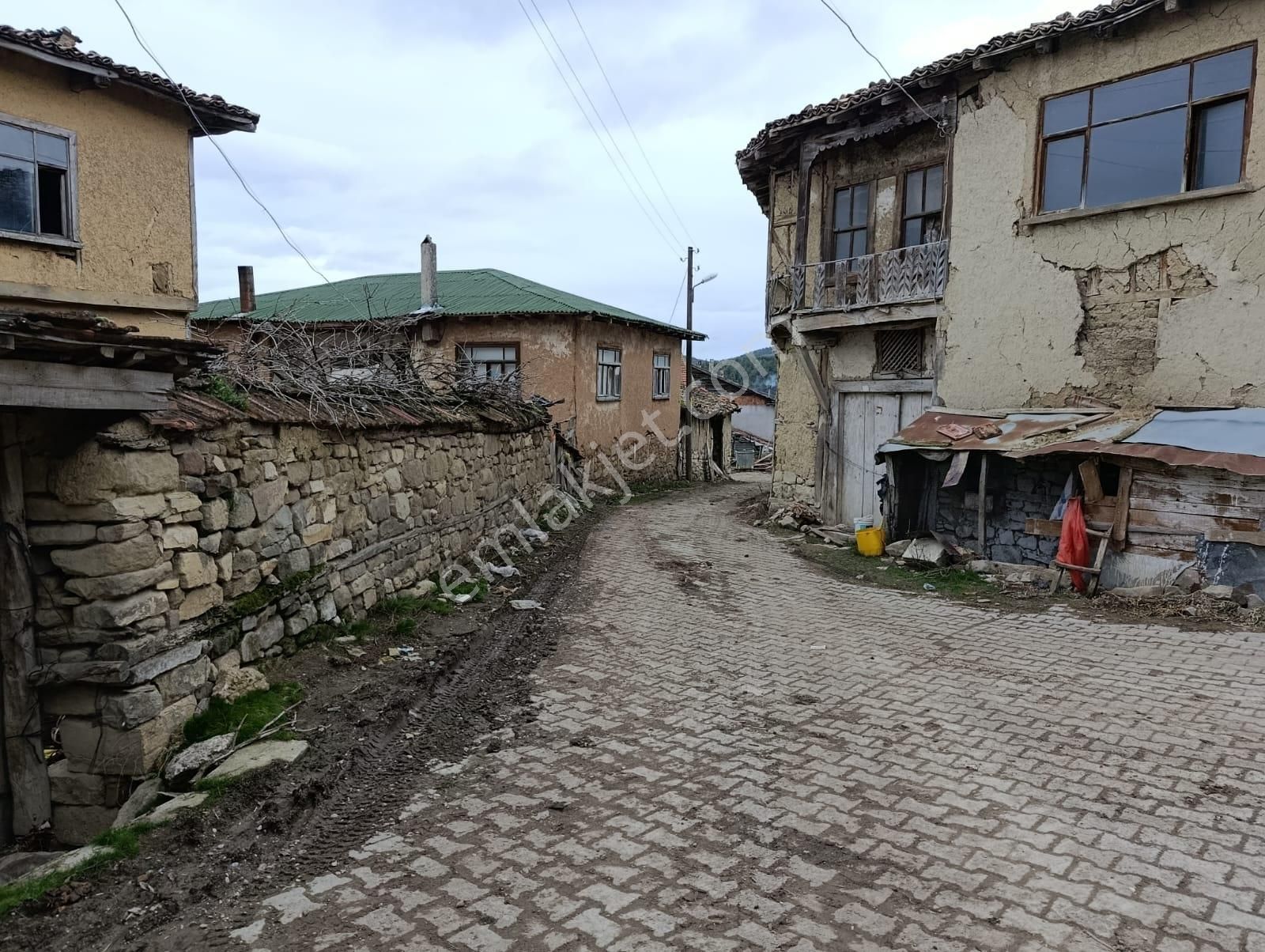 Geyve Halidiye'de Köye 2 Dk Mesafede Düz Ve Verimli Arazi - Görsel 2