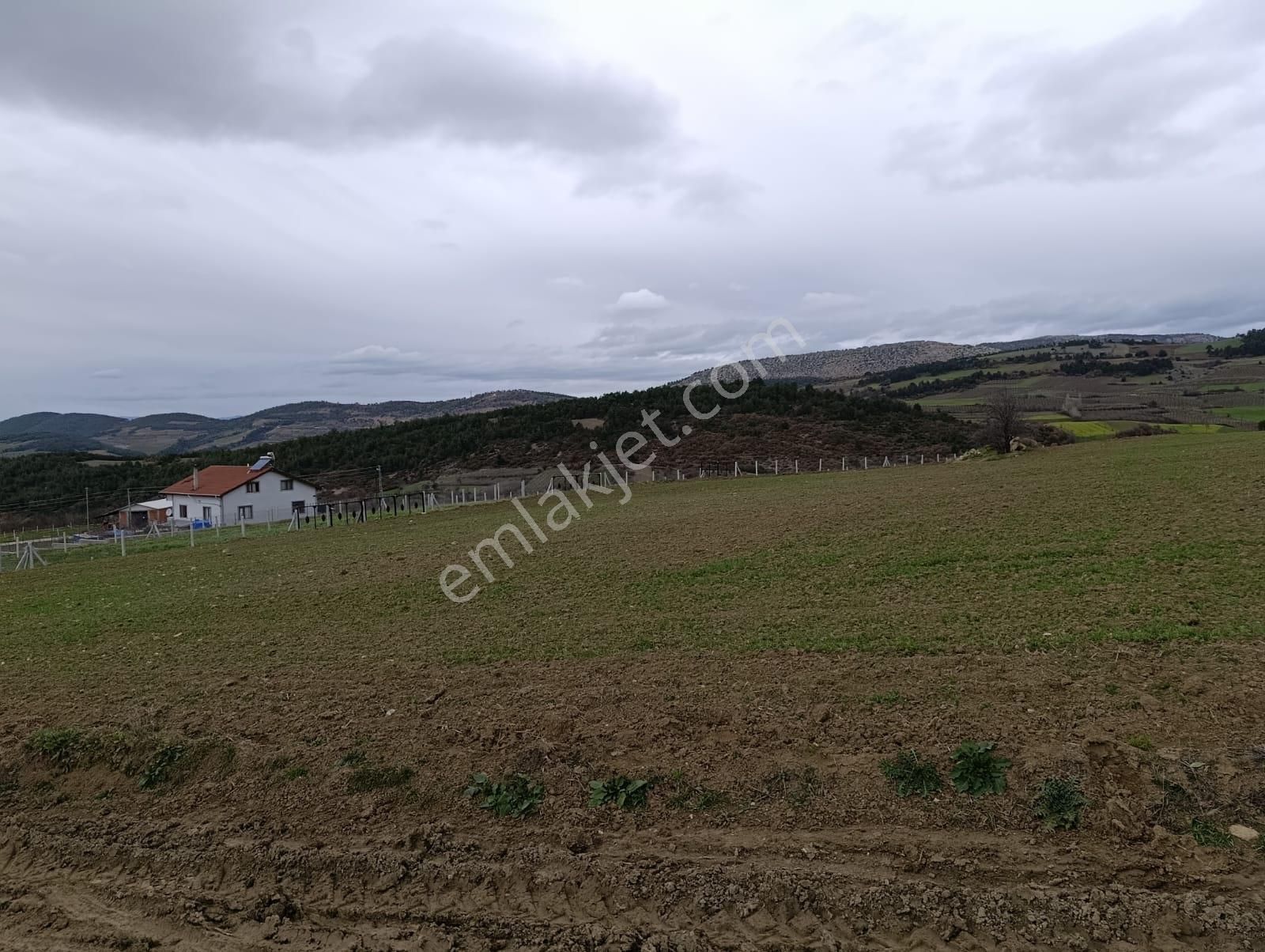 Geyve Halidiye'de Köye 2 Dk Mesafede Düz Ve Verimli Arazi - Görsel 15