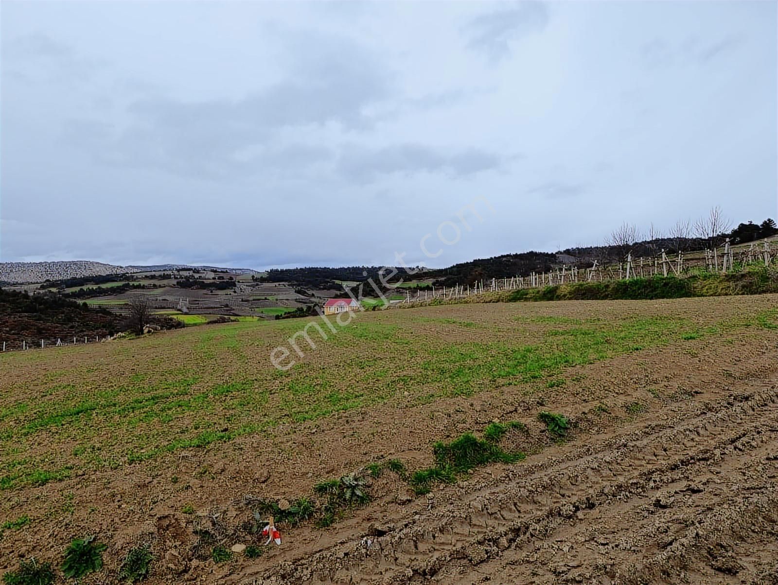 Geyve Halidiye'de Köye 2 Dk Mesafede Düz Ve Verimli Arazi - Görsel 12