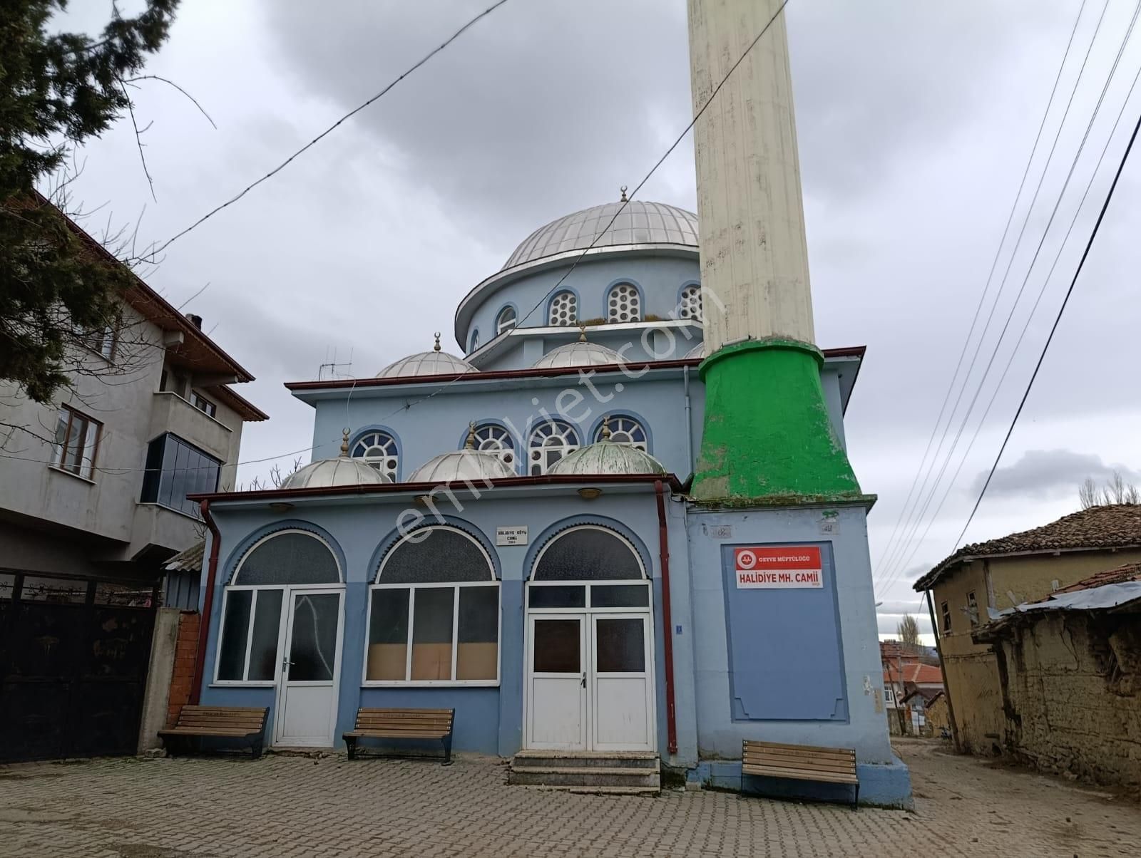 Geyve Halidiye'de Köye 2 Dk Mesafede Düz Ve Verimli Arazi - Görsel 3