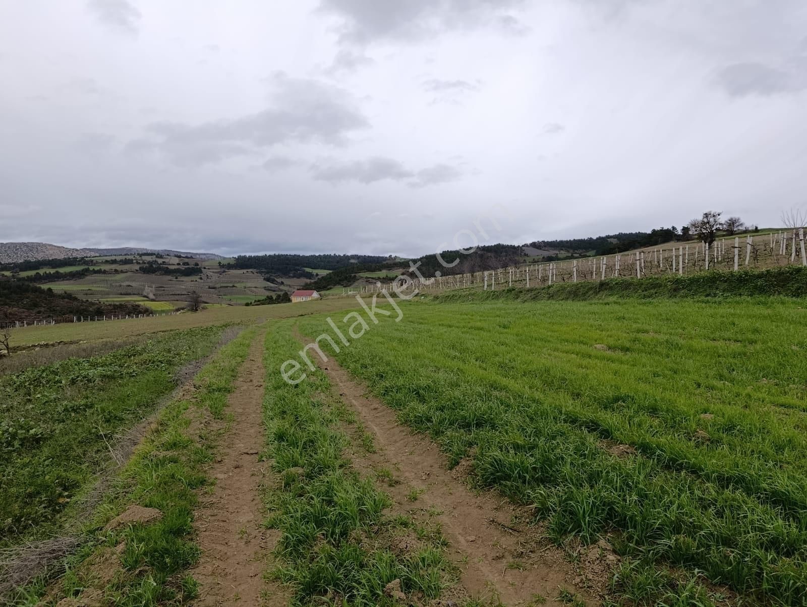 Geyve Halidiye'de Köye 2 Dk Mesafede Düz Ve Verimli Arazi - Görsel 11
