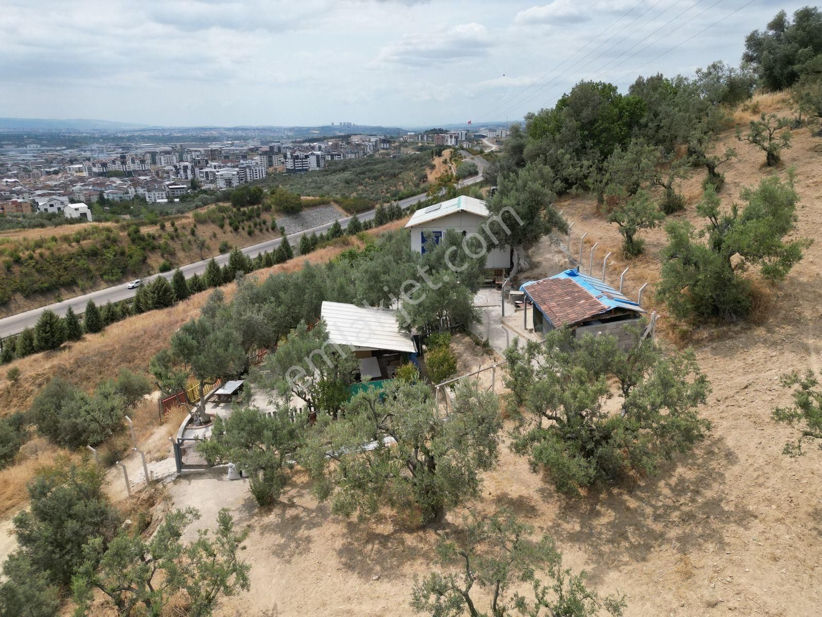 Rt Safir'den D.barbaros'ta Şehir Ve Doğa Manzaralı Satılık Mülk - Görsel 26
