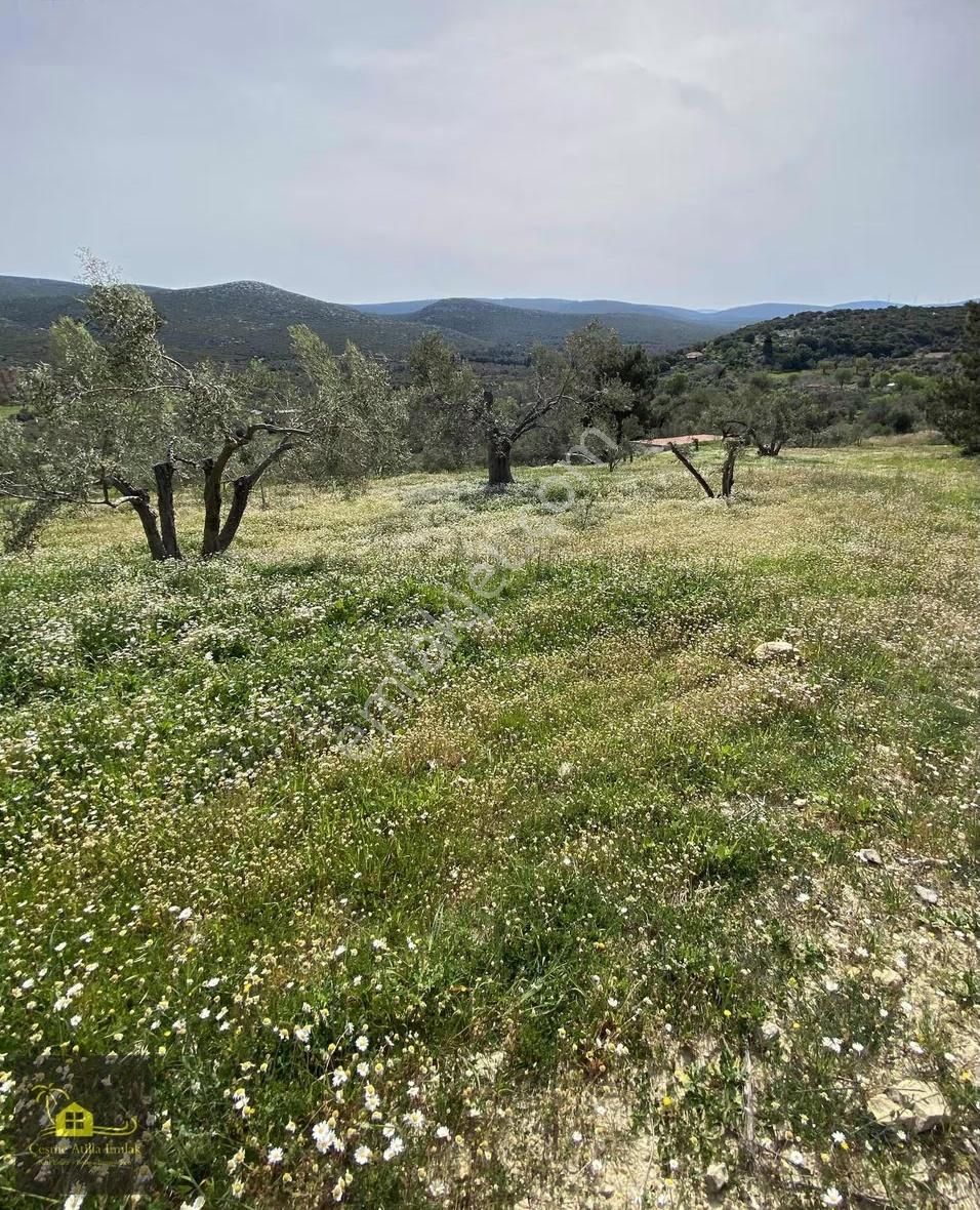 Çeşme Germiyan'da Satılık Tarla - Görsel 8