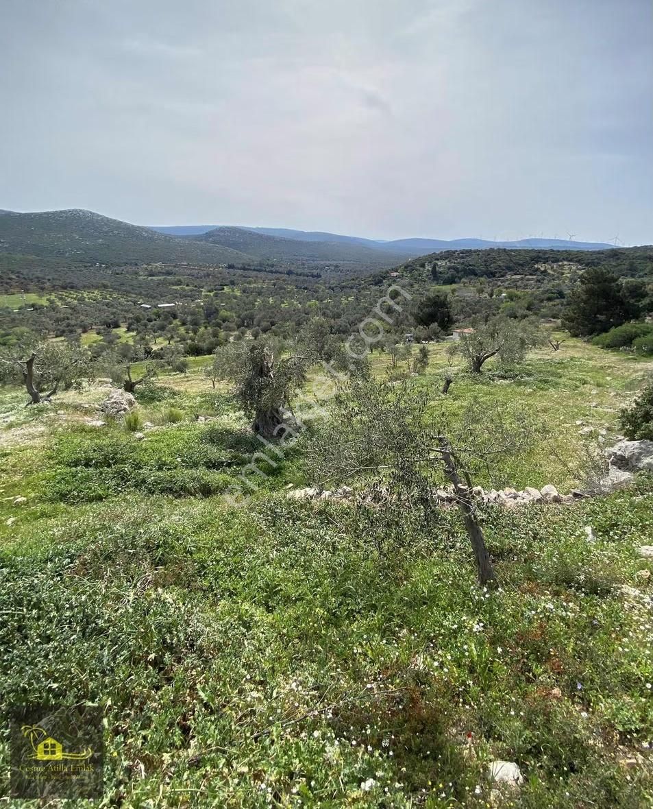 Çeşme Germiyan'da Satılık Tarla - Görsel 7