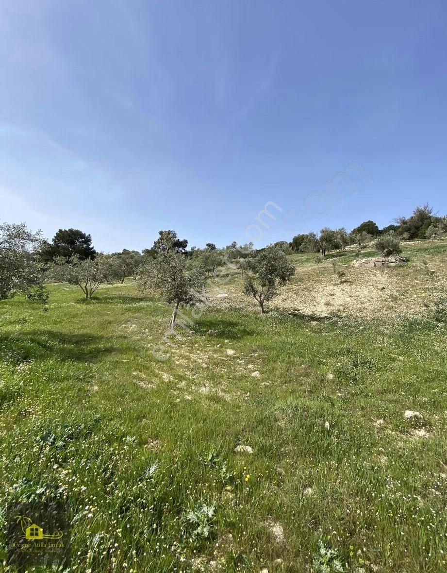 Çeşme Germiyan'da Satılık Tarla - Görsel 9