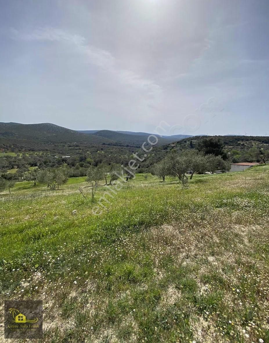 Çeşme Germiyan'da Satılık Tarla