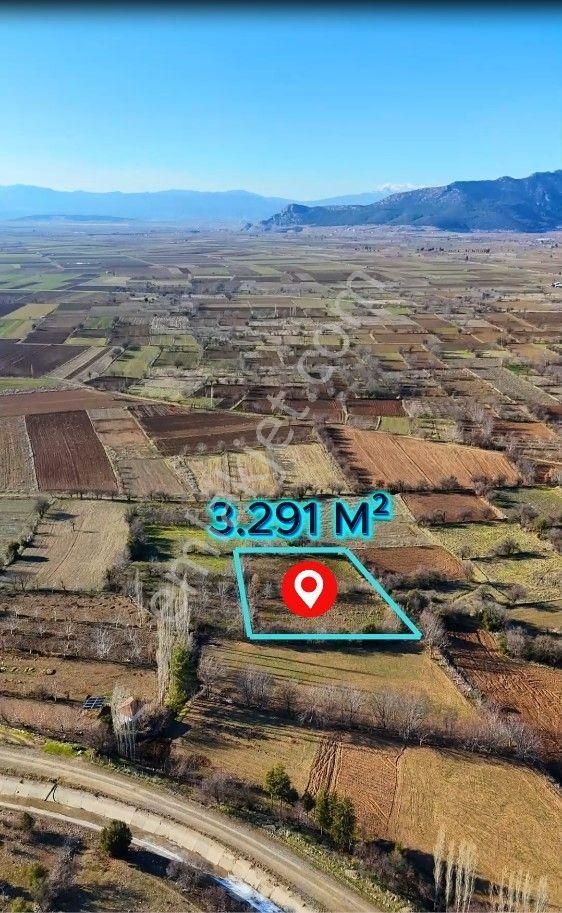 Şahin Emlaktan Denizli Acıpayam Gümüş Mah.satılık 3.291 M² Tarla - Görsel 2