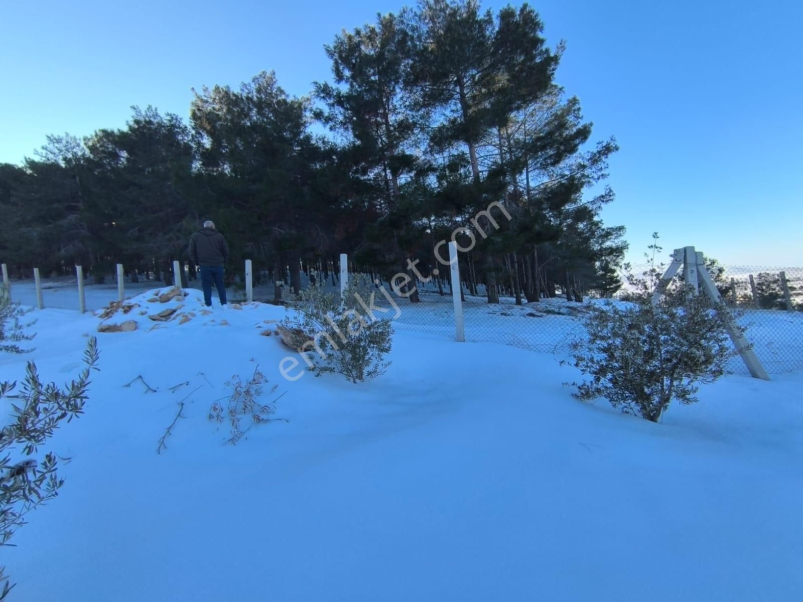 World İlkevim'den Ormana Sıfır Gülpınarda 6.341 M² Satılık Arsa - Görsel 10