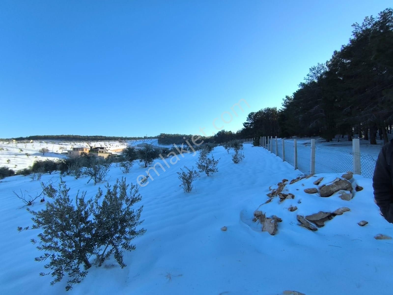 World İlkevim'den Ormana Sıfır Gülpınarda 6.341 M² Satılık Arsa - Görsel 9