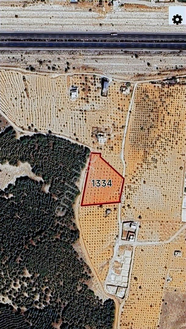 World İlkevim'den Ormana Sıfır Gülpınarda 6.341 M² Satılık Arsa - Görsel 7