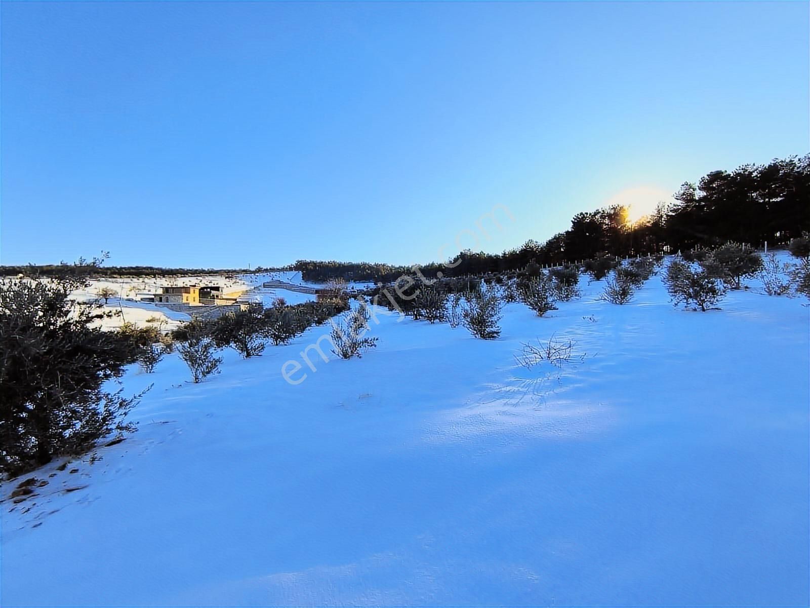 World İlkevim'den Ormana Sıfır Gülpınarda 6.341 M² Satılık Arsa - Görsel 11