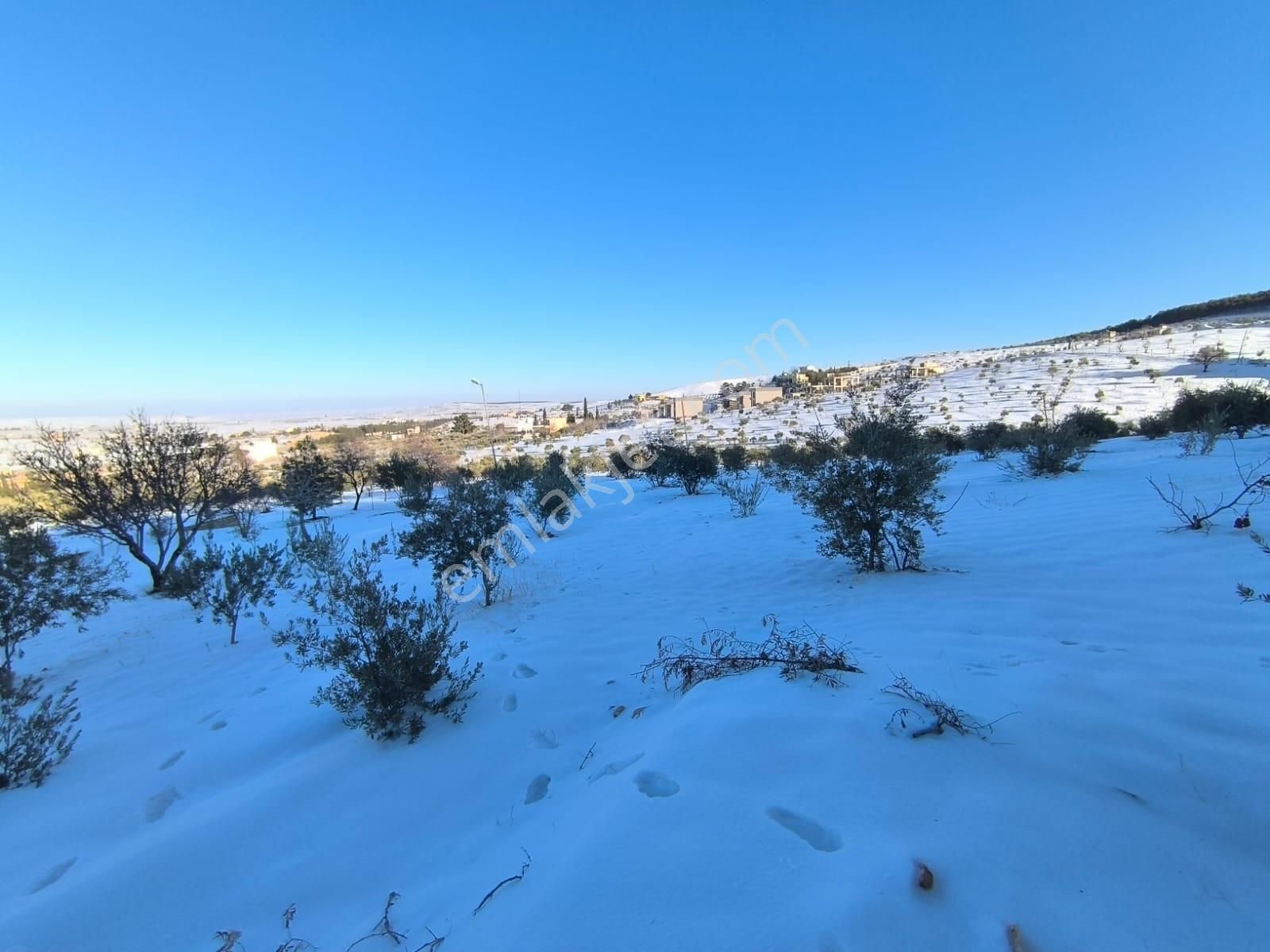 World İlkevim'den Ormana Sıfır Gülpınarda 6.341 M² Satılık Arsa - Görsel 2