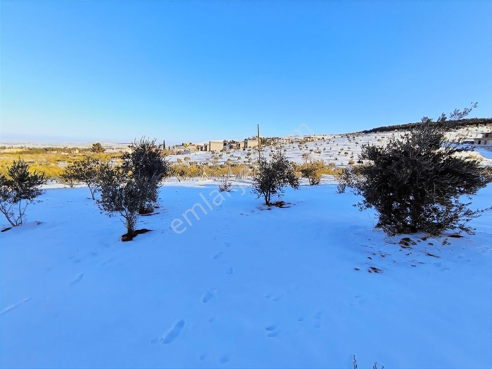 World İlkevim'den Ormana Sıfır Gülpınarda 6.341 M² Satılık Arsa - Görsel 8