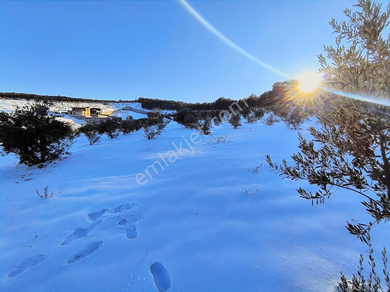 World İlkevim'den Ormana Sıfır Gülpınarda 6.341 M² Satılık Arsa - Görsel 19