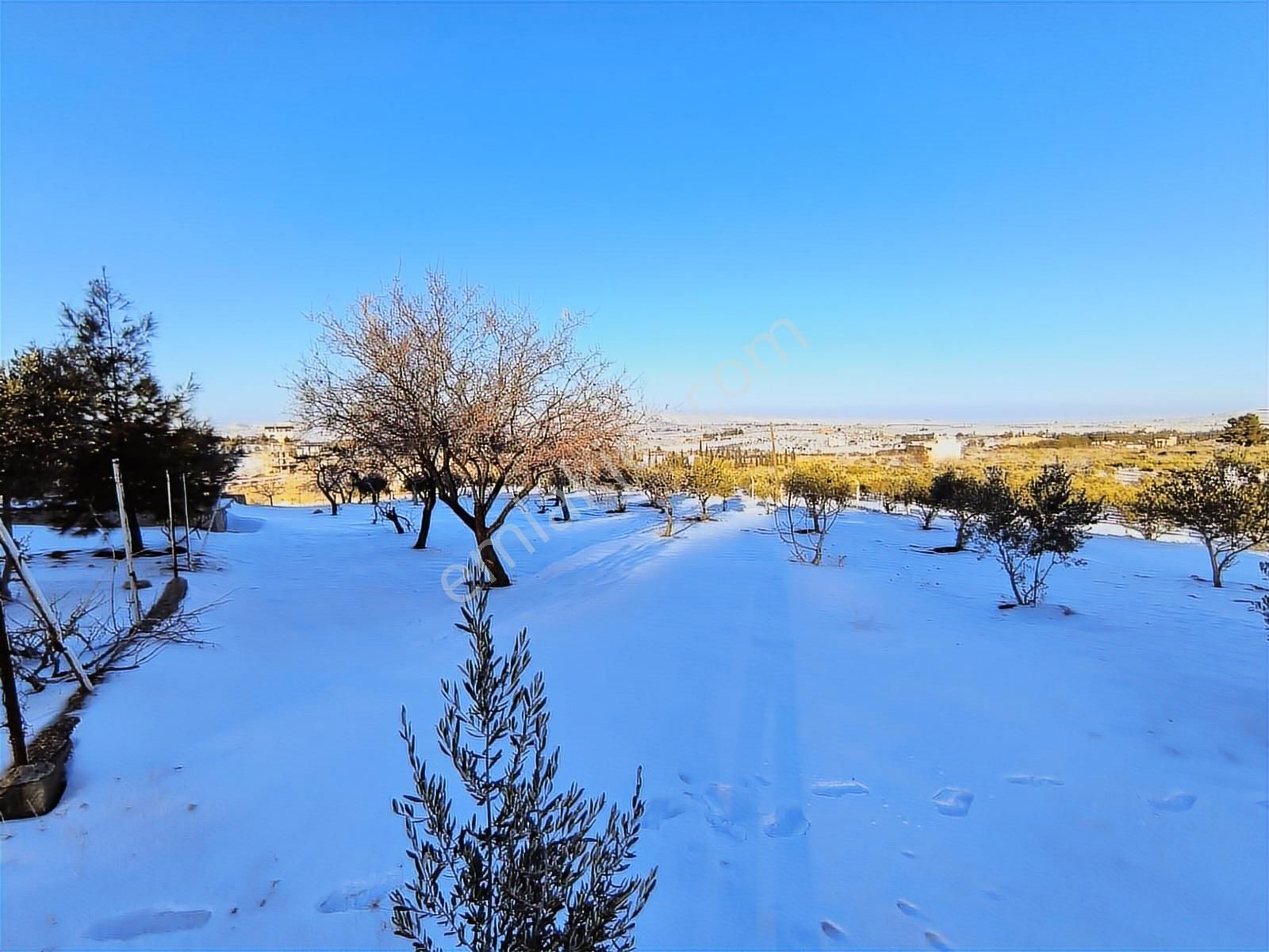 World İlkevim'den Ormana Sıfır Gülpınarda 6.341 M² Satılık Arsa - Görsel 3