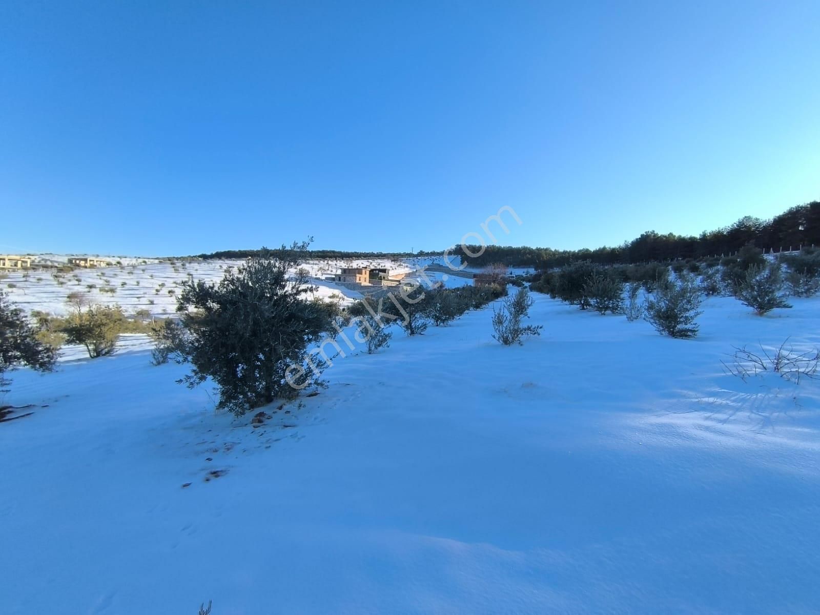 World İlkevim'den Ormana Sıfır Gülpınarda 6.341 M² Satılık Arsa - Görsel 21